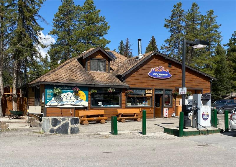 Read more about the article Castle Mountain